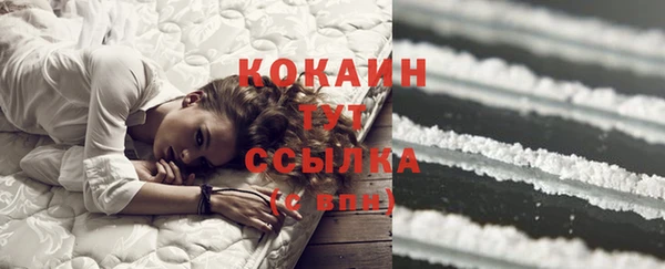 соль ск Касимов