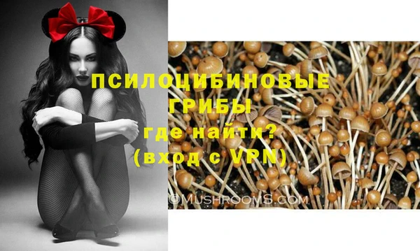 бутират Козловка