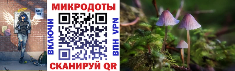 Галлюциногенные грибы Cubensis  Купить  Гусев 