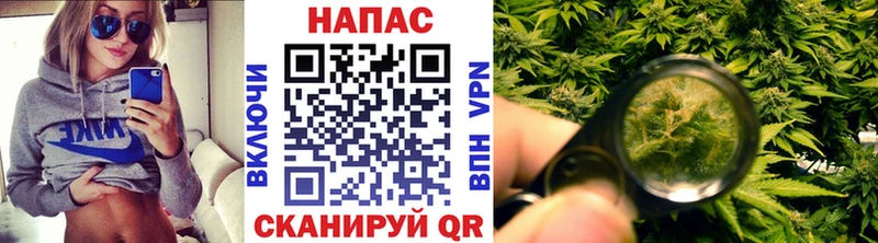 Бошки Шишки ГИДРОПОН  Купить  Гусев 
